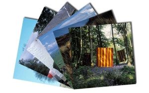 pack of 6 postcards